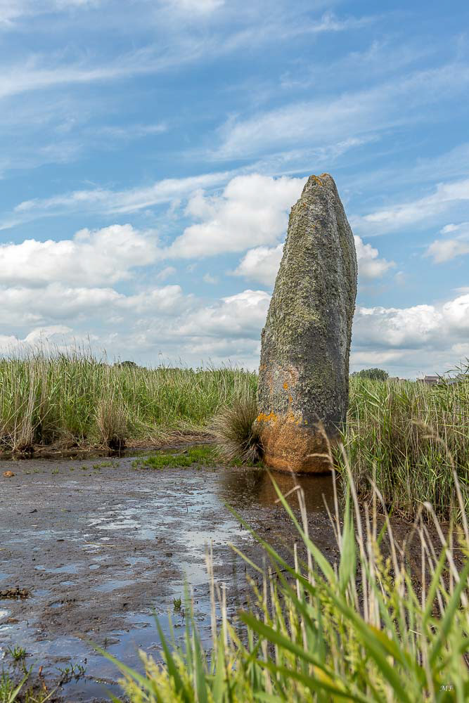 Finistère - Treffiagat - Menhir de Lehan