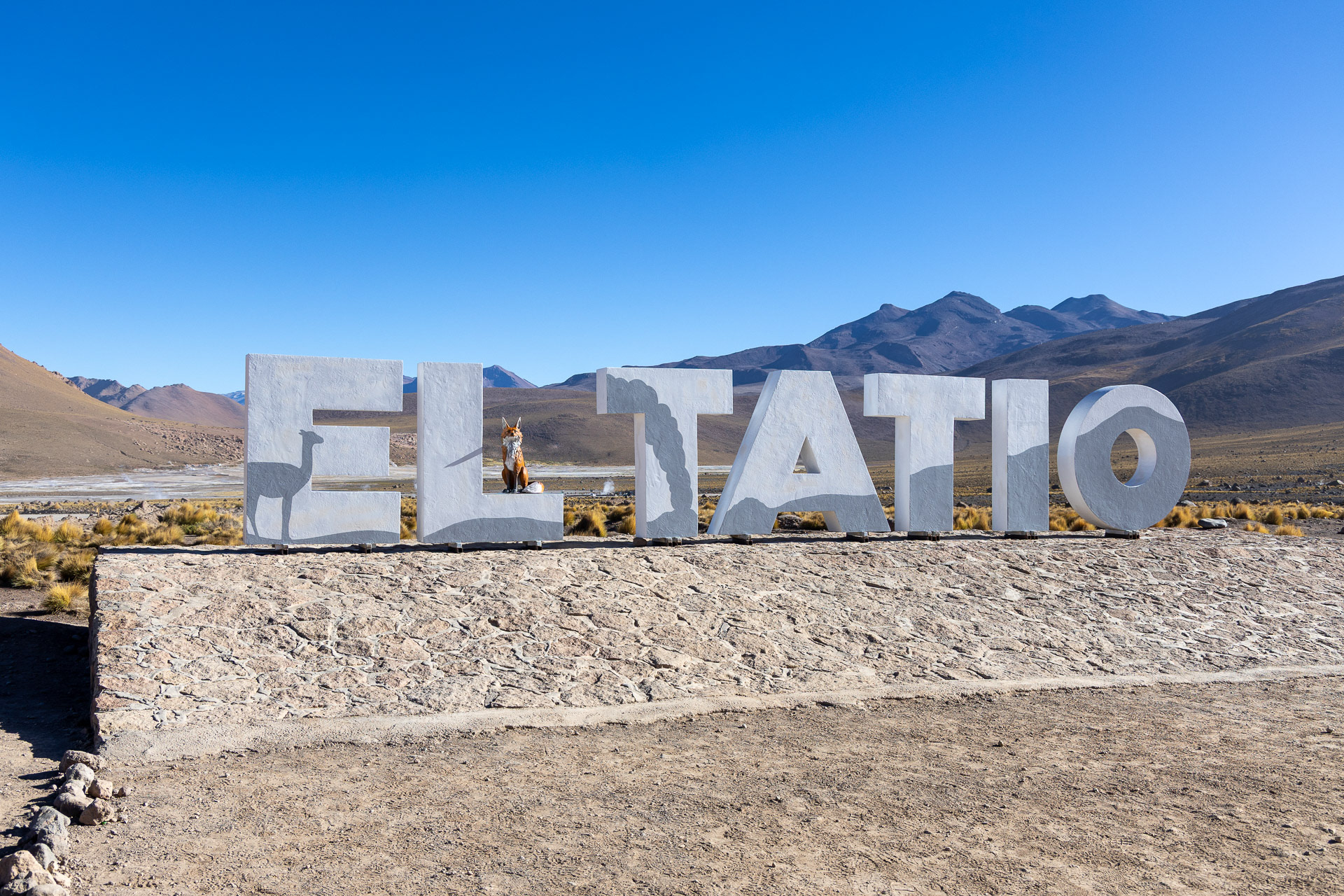 Atacama - les geysers d'El Tatio (4320m). C'est le troisième plus grand champ de geysers au monde et le plus élevé de l'hémisphère sud