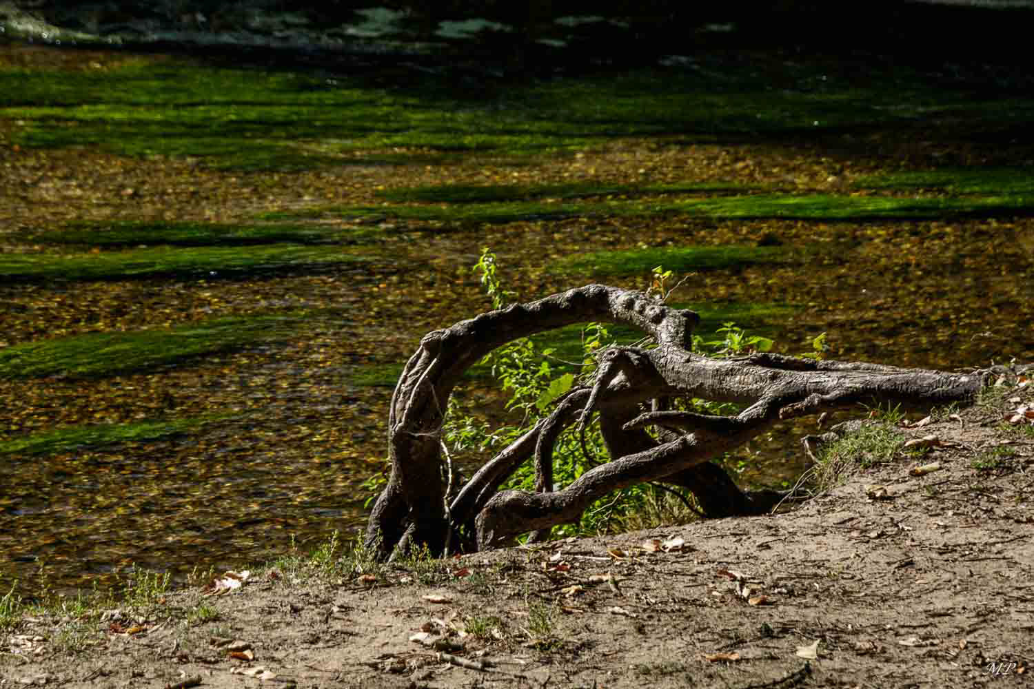 La Pointe de Courpain