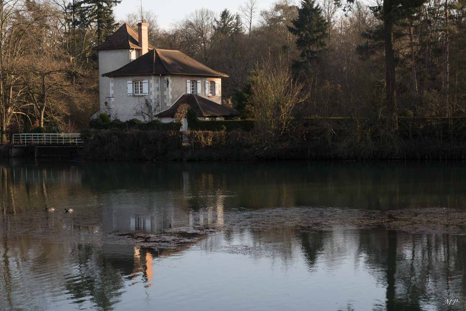 Le Moulin du Rondon date du XVI e siècle et fut un moulin à tan et à papier. C'est l'un des plus petits, des plus discrets et des plus coquets moulins d'Olivet. Il se situe entre deux bras du Loiret dans ce cadre magnifique. C'est le seul à posséder une turbine immergée parallèle au courant de la rivière, et non perpendiculaire, comme les autres moulins.