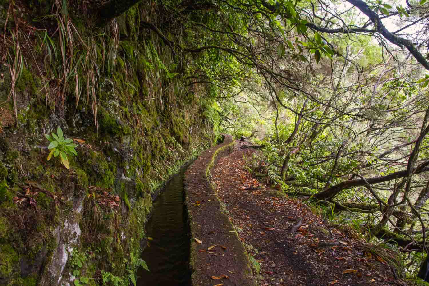 Levada de Queimadas