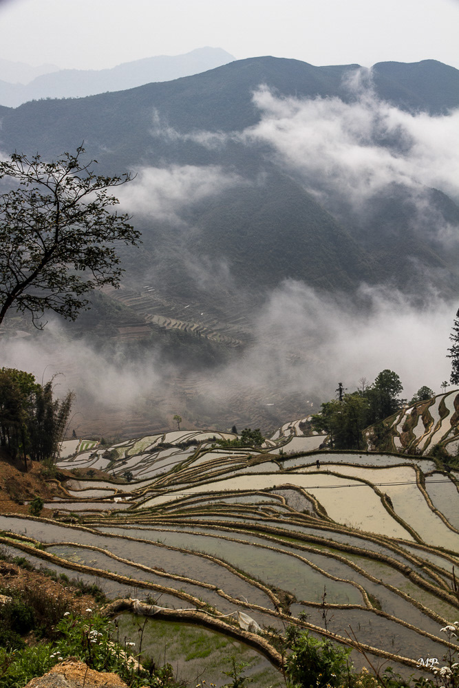 Yunnan - Yuanyang : Situé dans les montagnes, le temps est parfois brumeux. C'est de décembre à mai, quand les rizières sont remplies d'eau qu'il faut contempler ces Miroirs du Ciel