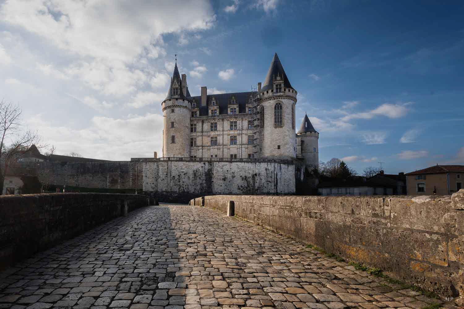 Château de la Rochefoucauld (17)