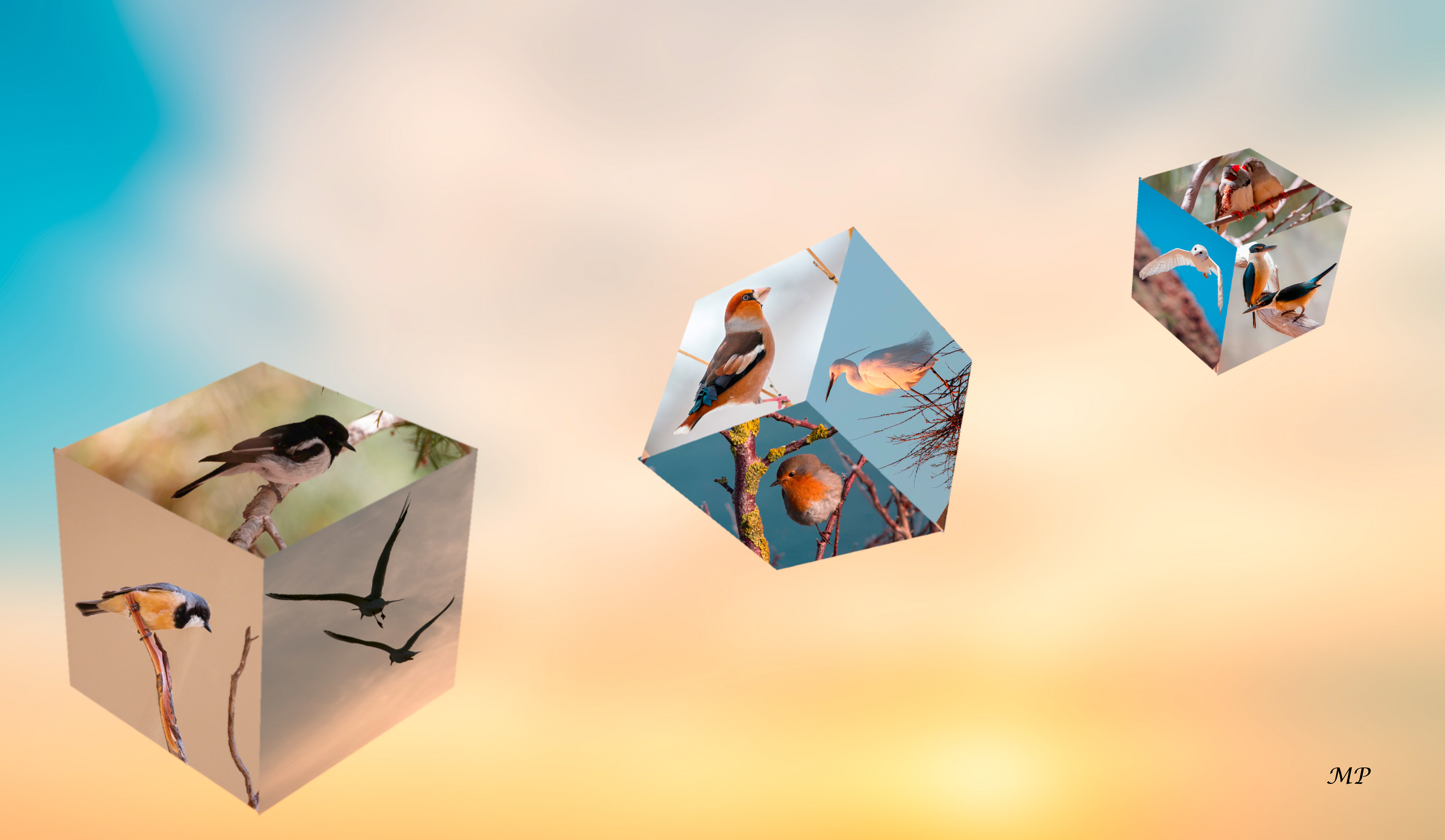 Cubes en folie