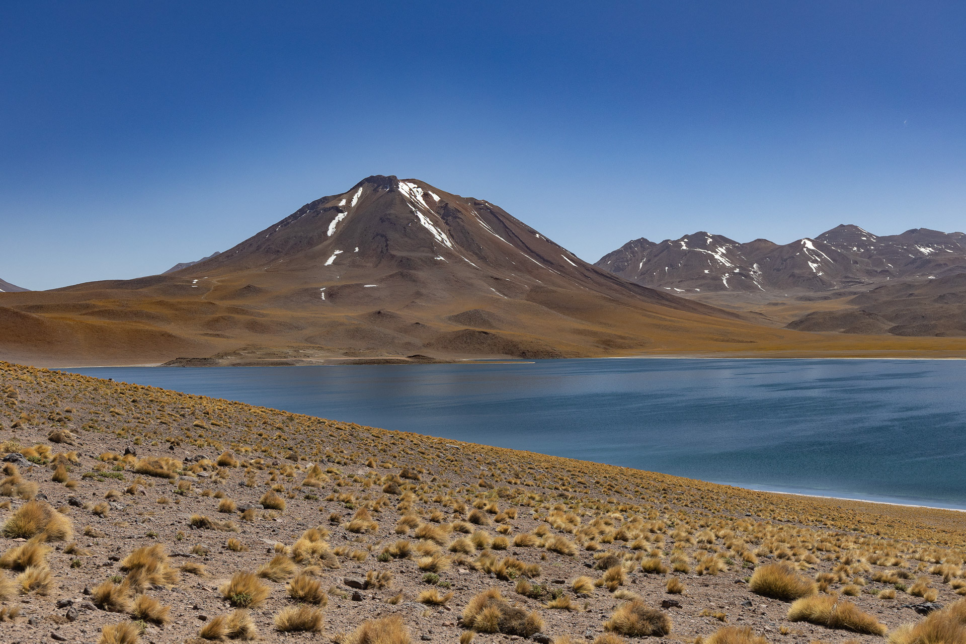 Atacama - la lagune altiplanique de Miscanti (4140m d'alt.)