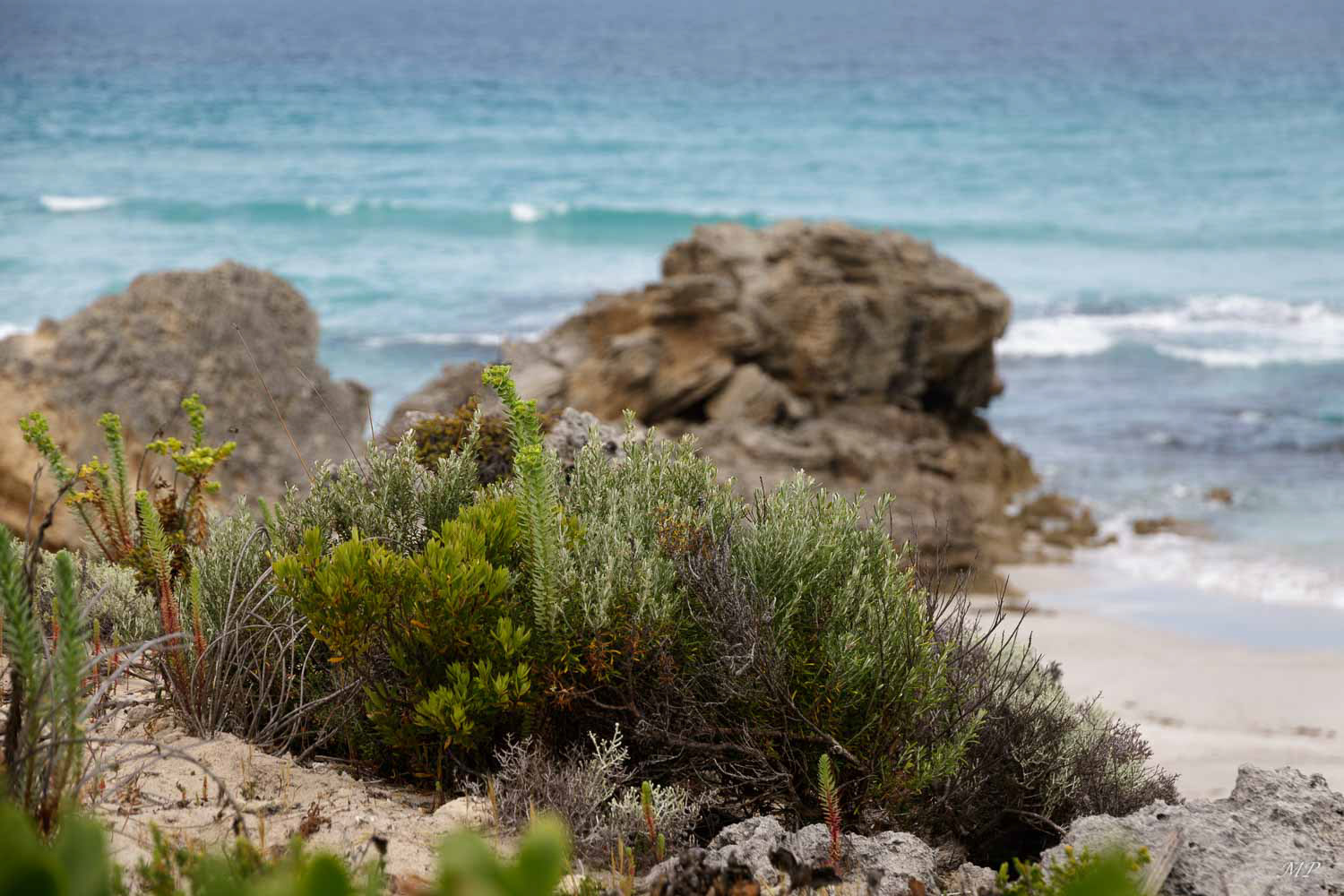 Kangaroo Island - Pennington Bay