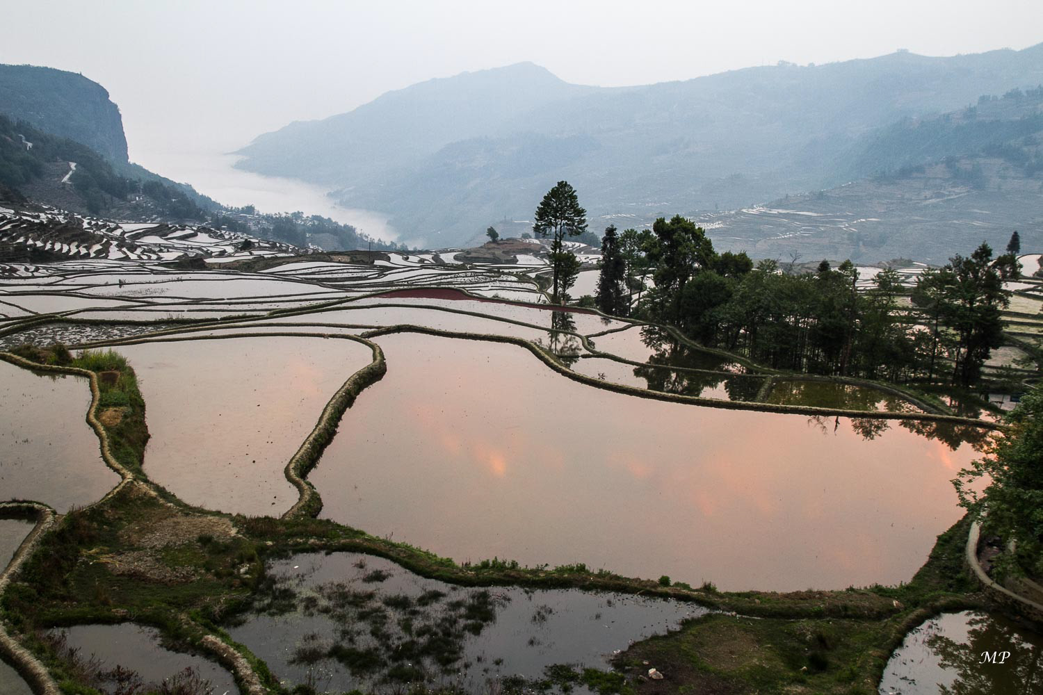 Yunnan - Yuanyang : Vue de la Jackie's Guesthouse à Duoyishu