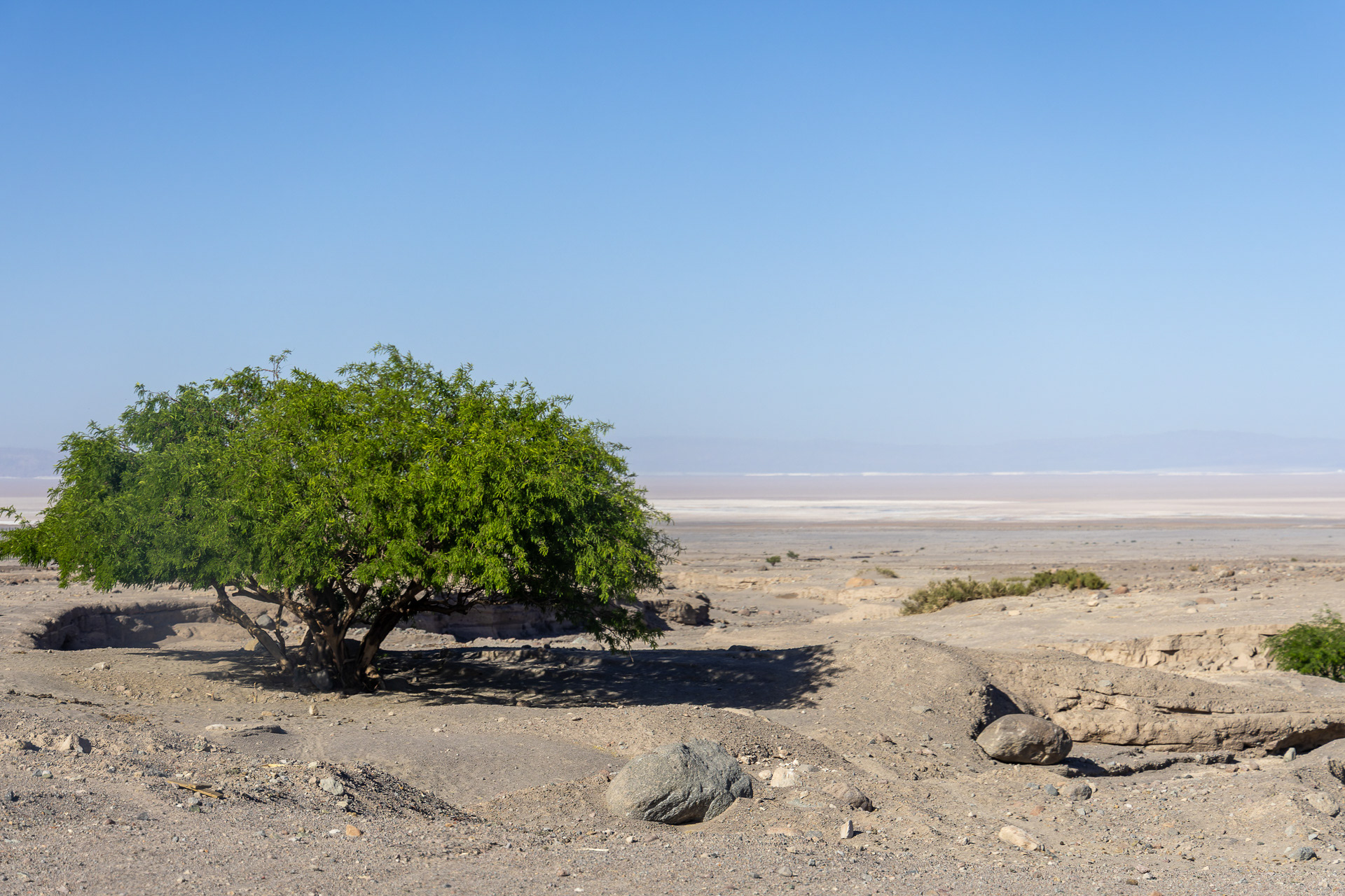 Atacama - Dans ce désert qui s’étend sur plus de 100 000 km² depuis la cordillère côtière jusqu’au piémont andin, les conditions climatiques sont extrêmes. L’amplitude thermique quotidienne est exacerbée par l’altitude et l’Atacama est, après l’Antarctique, l’espace le plus aride de la planète.