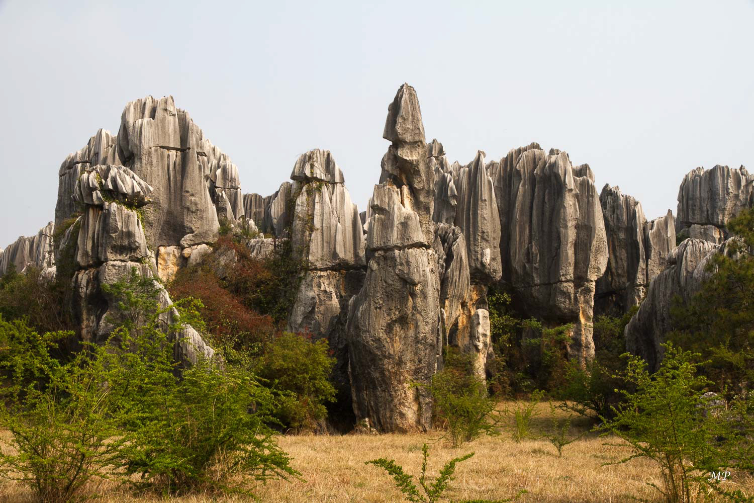 Yunnan - Shilin, la forêt de pierre : La Forêt de Pierre est une des merveilles du patrimoine naturel du Yunnan. C'est un ensemble de roches karstiques en calcaire gris. Ces formations rocheuses se caractérisent par une concentration de roches peu élevées aux formes fantastiques auxquelles les chinois attribuent toutes sortes de superstitions et de légendes.