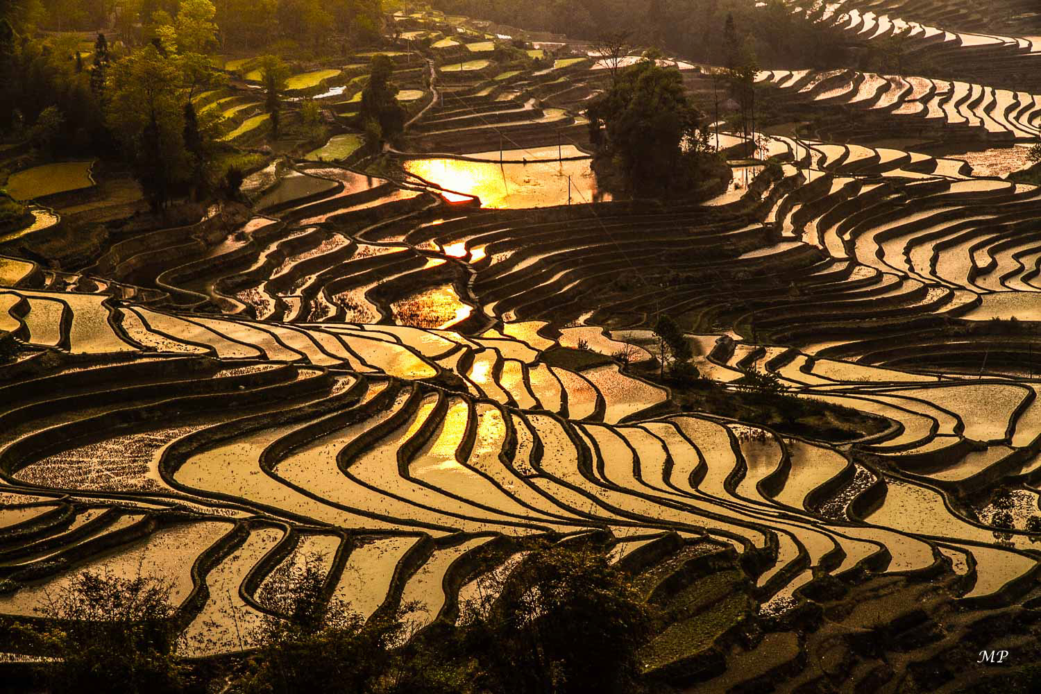 Yunnan - Yuanyang : Les rizières en terrasse sont, sans aucun doute, les plus belles et spectaculaires que l'on puisse voir en Chine. Elles sont sculptées dans les montagnes par la minorité Hani depuis de siècles et récemment ouvertes aux voyageurs