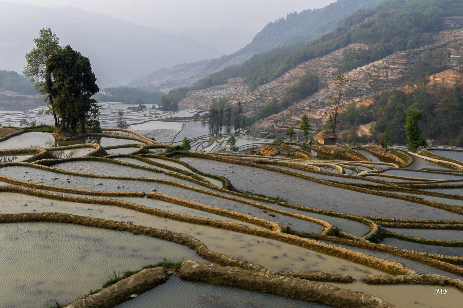 Yunnan - Yuanyang : Vue imprenable de la Jackie's Guesthouse à Duoyishu
