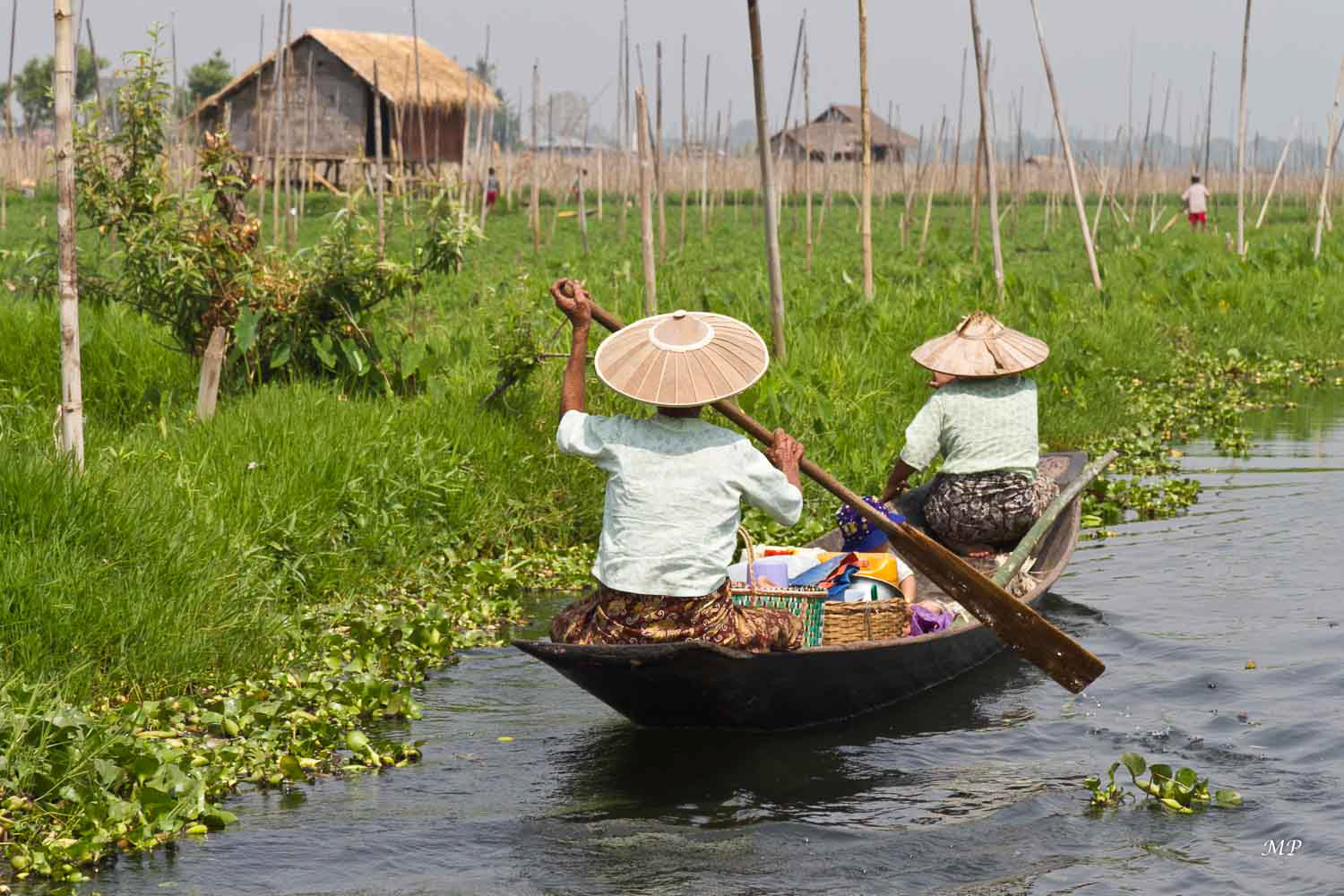 Les jardins flottants du Lac Inle