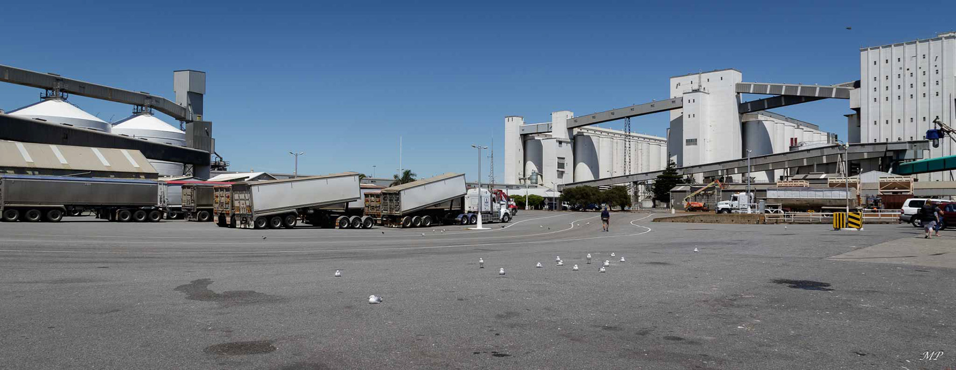 L'économie de Port Lincoln repose sur les énormes installations de manutention des céréales, les usines de transformation du poisson, les agneaux, la laine, la viande de bœuf et le thon pour le marché japonais