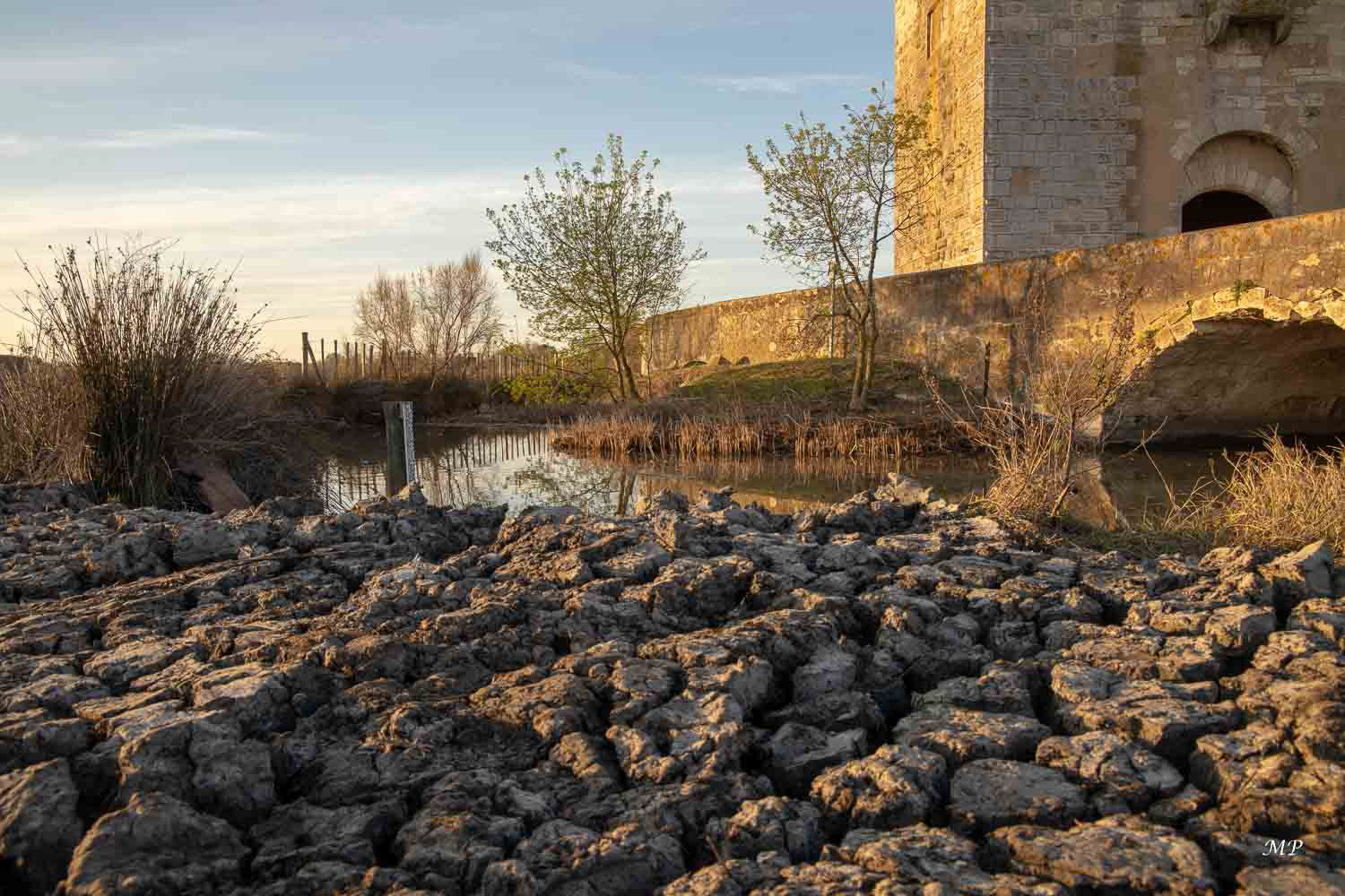 Camargue  - La Tour Carbonnière