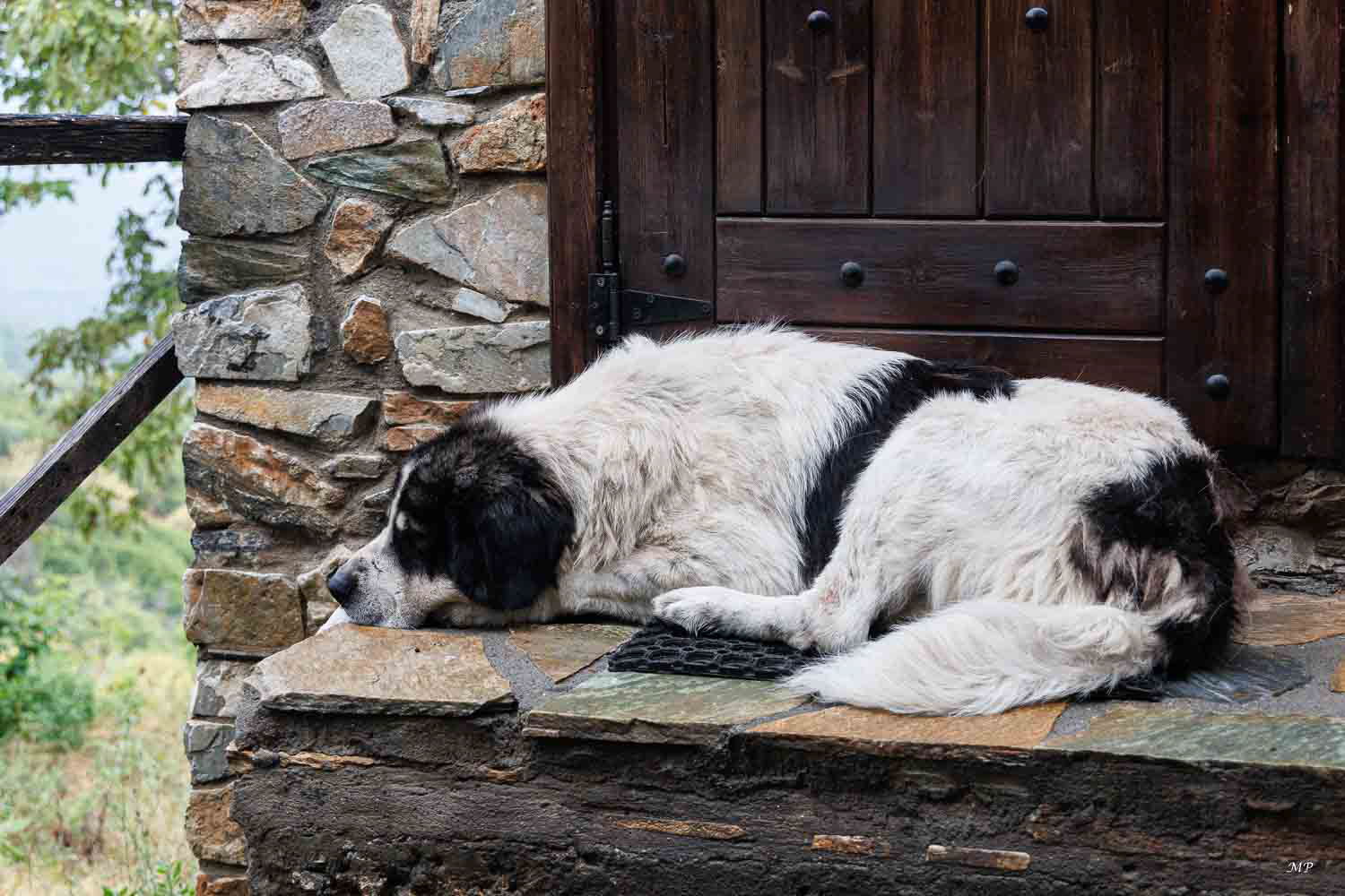 La sieste à Palaios-Panteleimonas