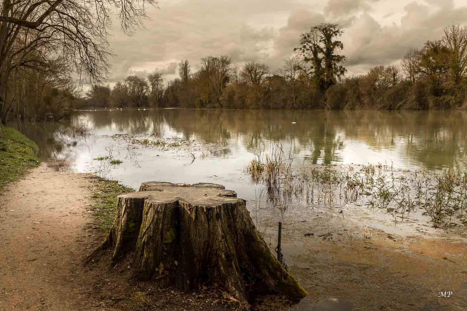 Le Loiret à Saint-Hilaire