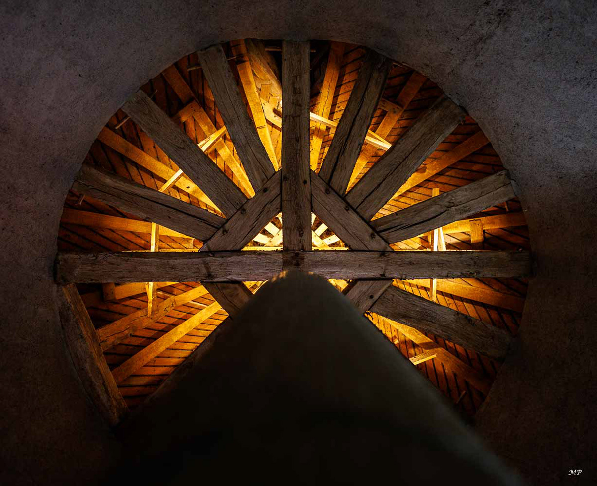 Fougère-sur-Bièvre (41), détail charpente du château