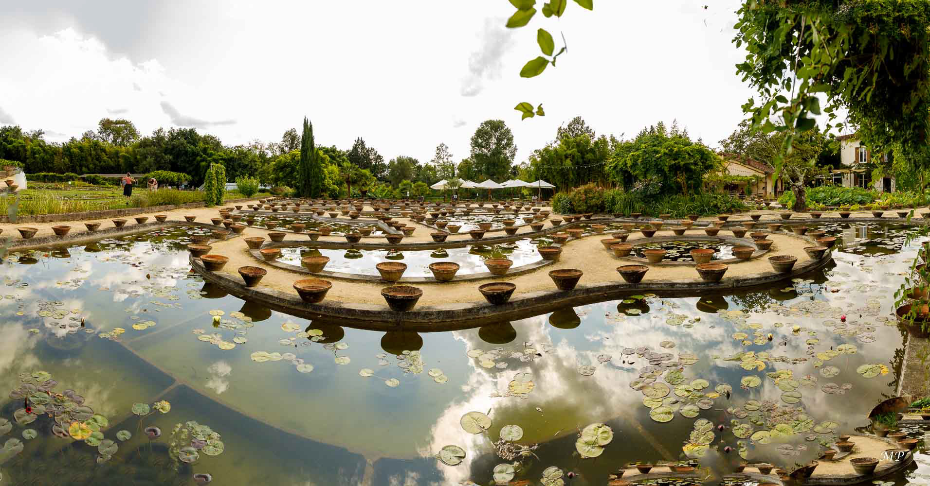 Temple-sur-Lot (47)- le jardin  de Latour-Marliac, célèbre pour ses nénuphars et lotus depuis 1875 (Lot & Garonne)