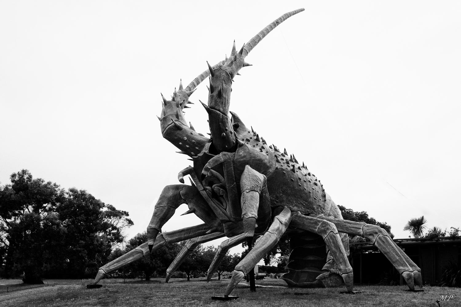 Kingston est une petite ville de la Limestone Coast à 300 km d'Adélaïde qui vit essentiellement de la pêche, de l'industrie viticole et de l'élevage des moutons. L'entrée de la ville est dominée par une gigantesque langouste surnommée "Larry" par les habitants.