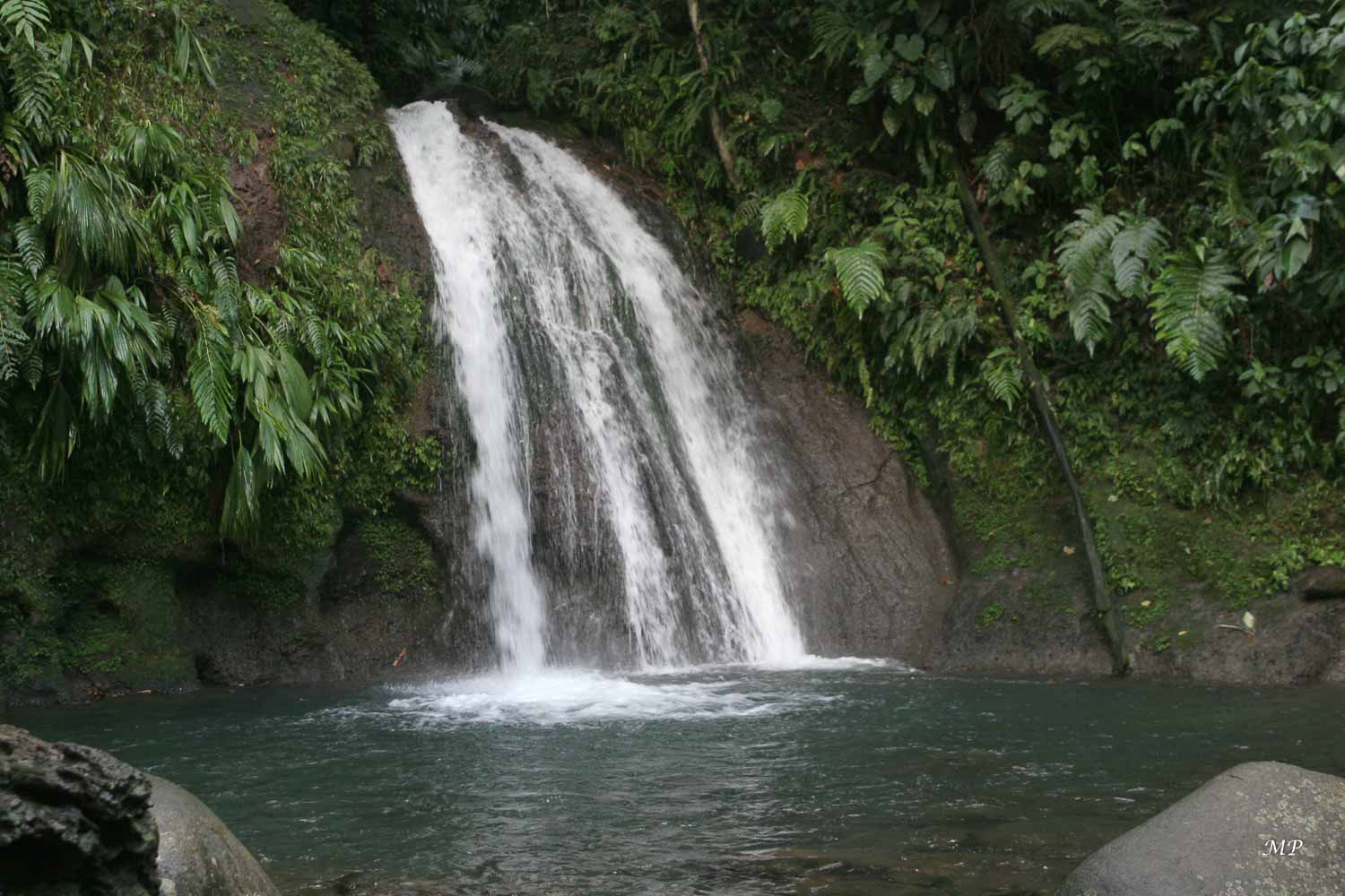 Cascade aux Ecrevisses (Basse-Terre)