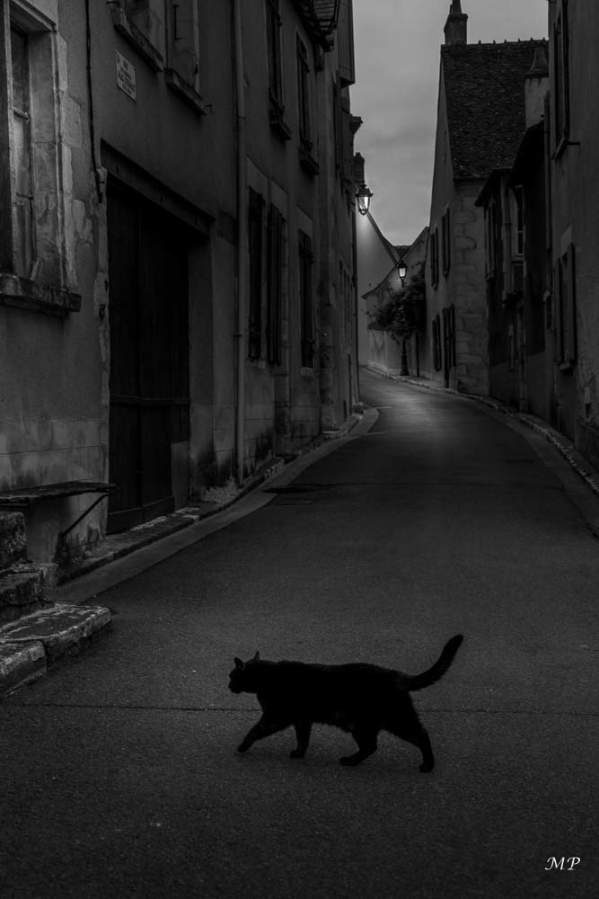 La nuit, tous les chats sont gris