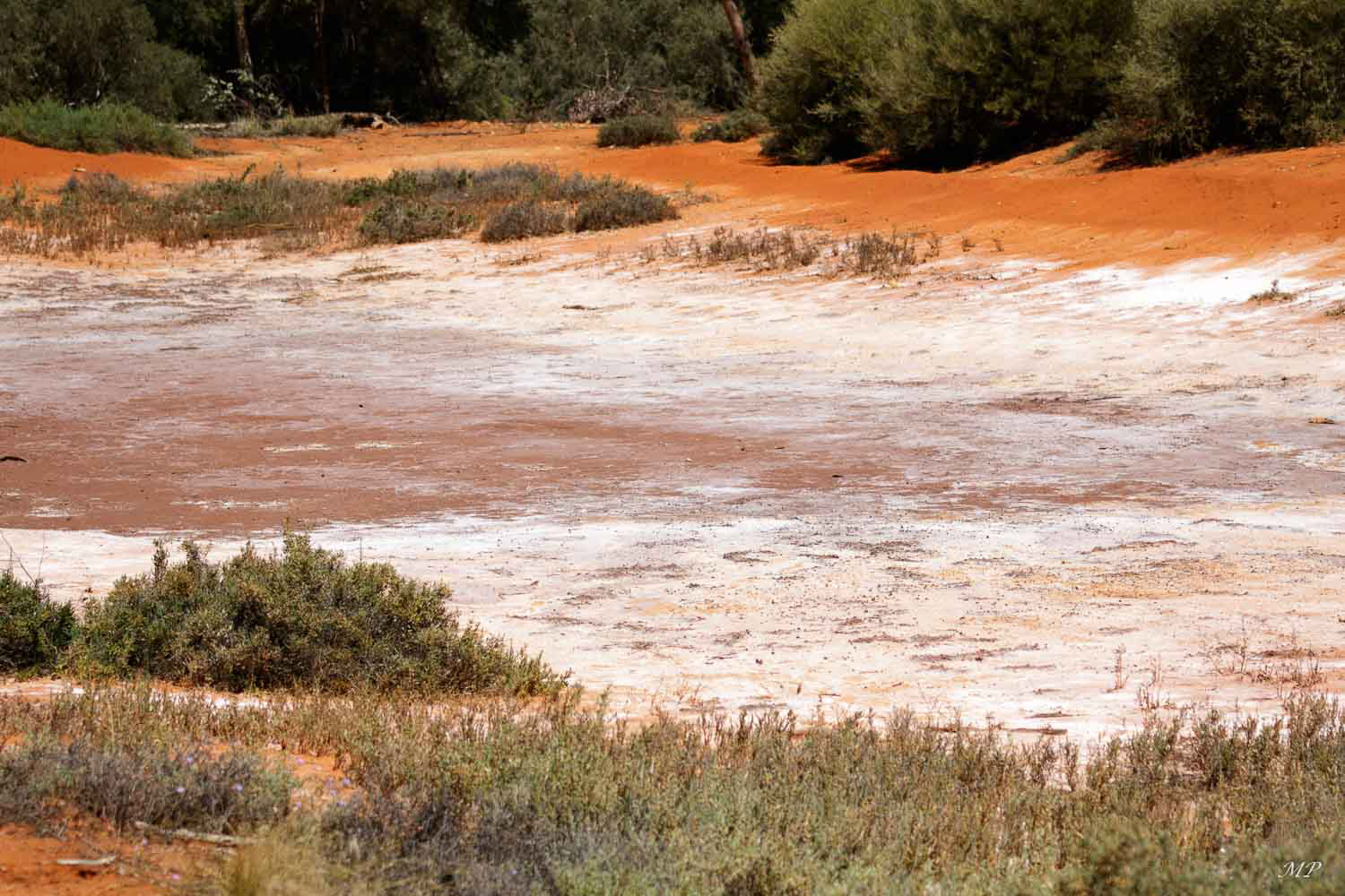 Lac salé dans le bush