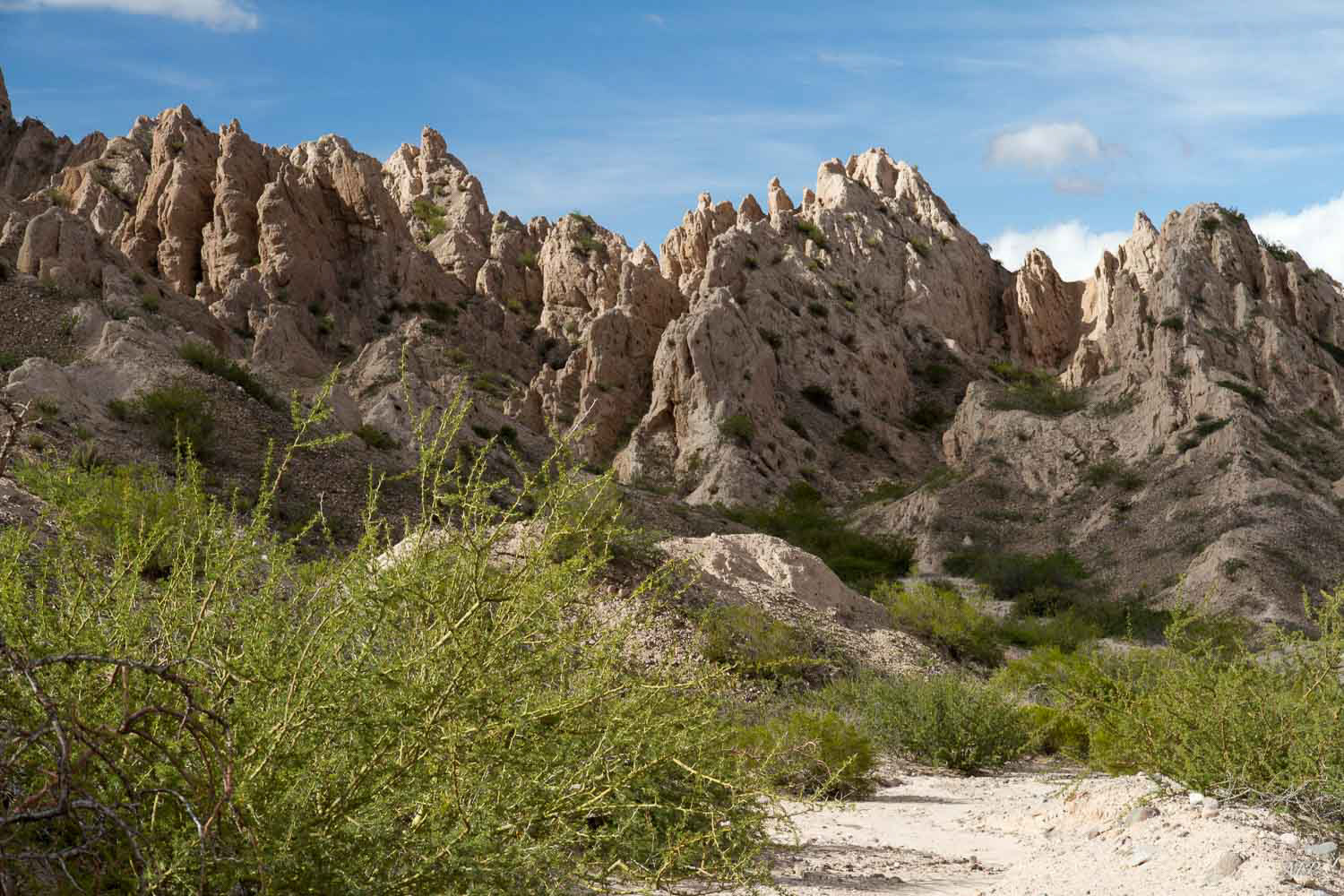 L'Ouest argentin: Le canyon d'Angastaco