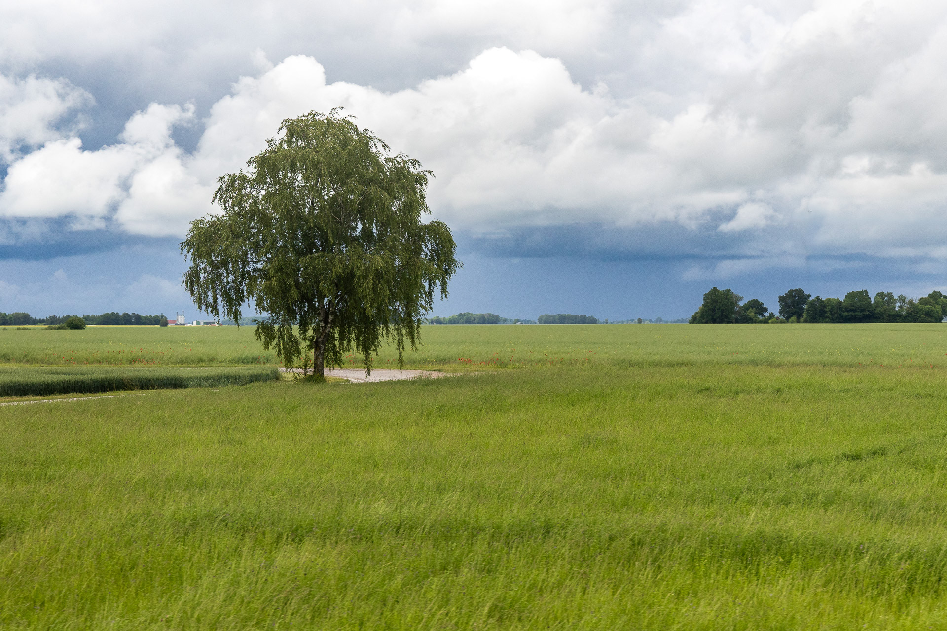 La Lithuanie est caractérisée par de vastes plaines fertiles