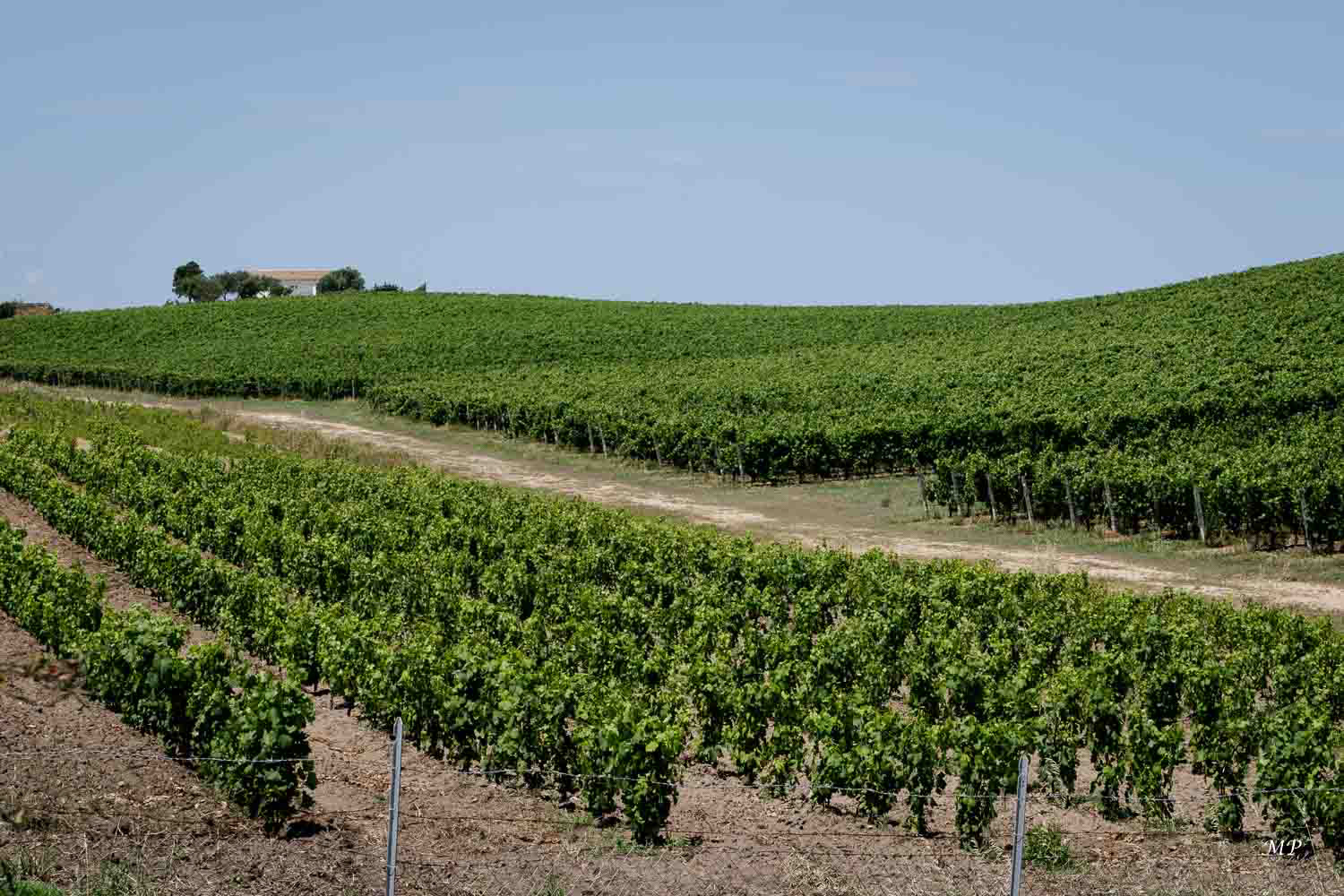 Arzachena - Superbe endroit pour découvrir les vins sardes