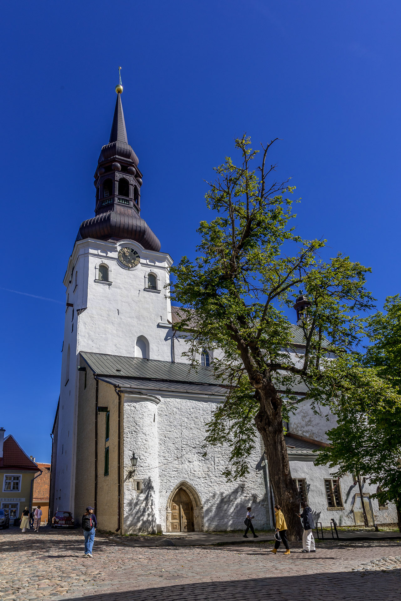 Tallinn  - Cathédrale luthérienne Sainte-Marie