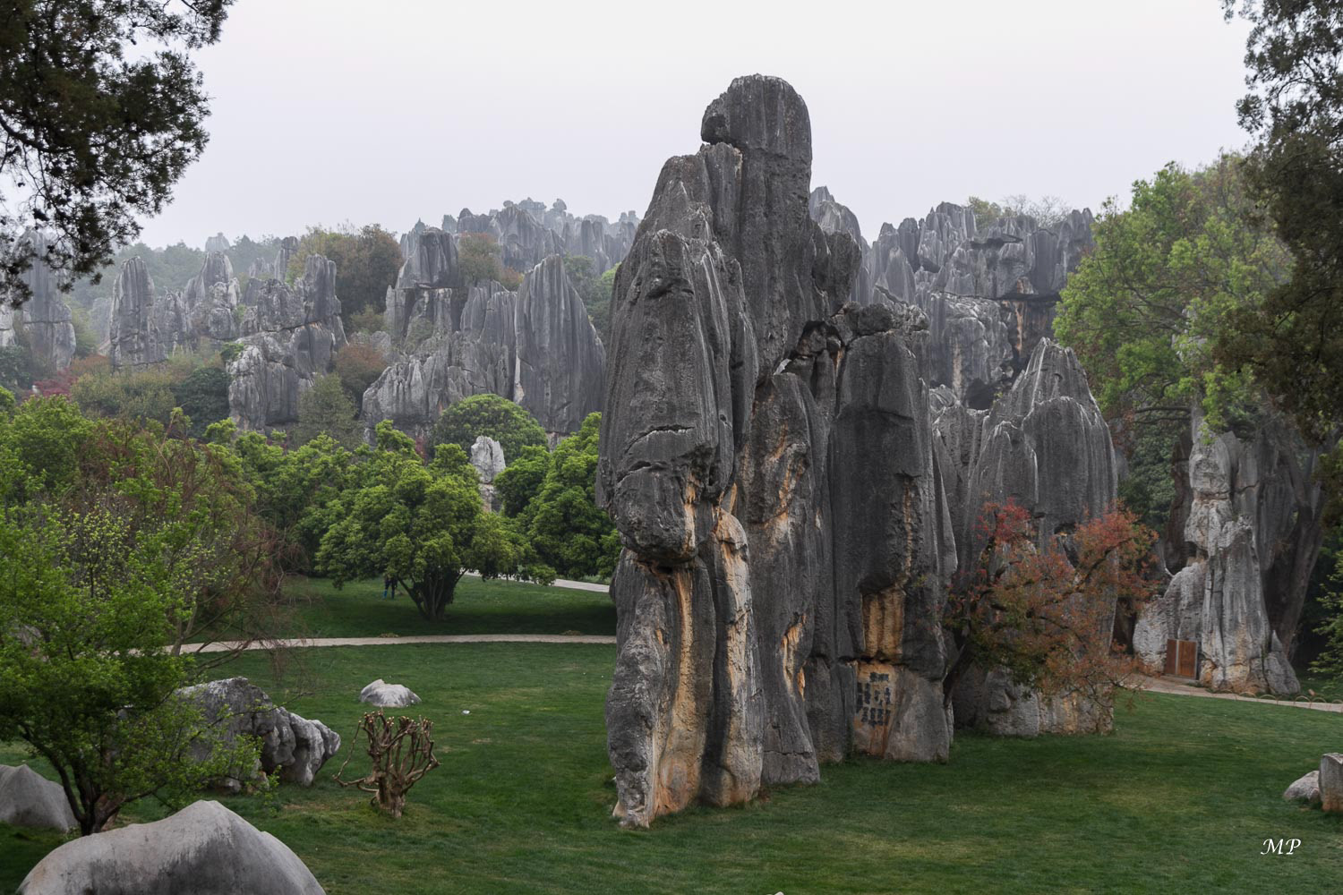 Yunnan - Shilin, la forêt de pierre