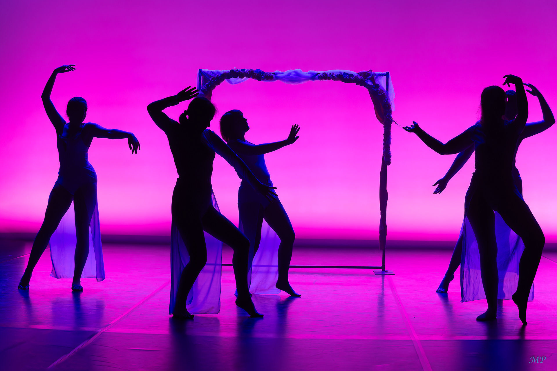 Gala Cor Caroli 2025