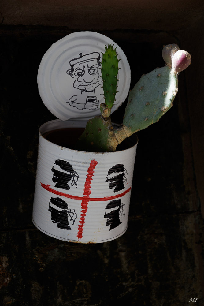 Bosa -  Typique de la ville, le recyclage des boîtes de conserve en pots de fleurs décorés.