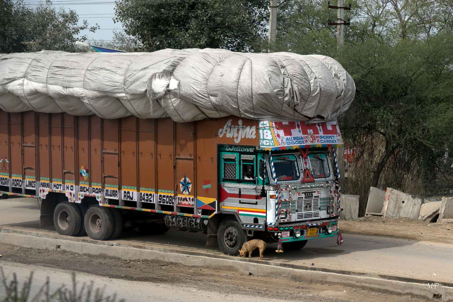 Sur les routes du Rajasthan