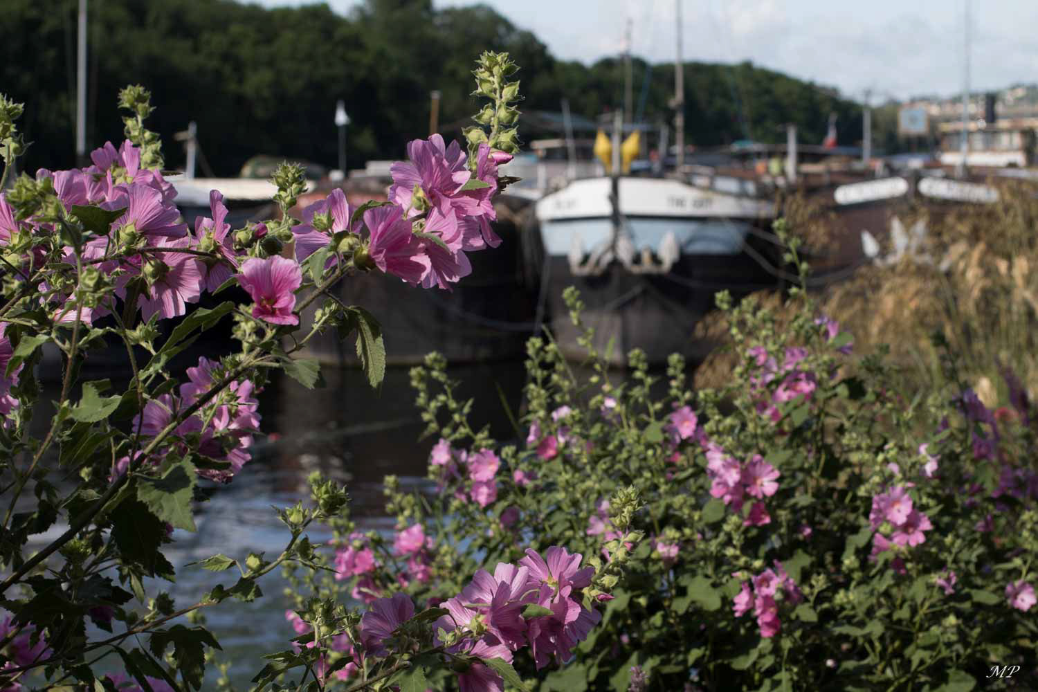 Conflans-Saint-Honorine