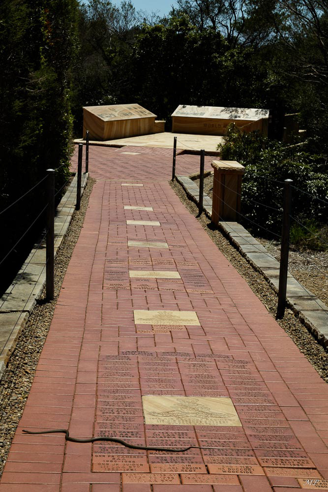Manly - L'Australian Memorial Walk situé au North Head Sanctuary honore ceux qui ont servi  l'Australie en paix ou en guerre. Le sentier pavé relie cinq monuments érigés pour rappeler les périodes de conflit majeur dans l'histoire du pays. Un serpent, que je n'ai pas vu à la prise de vue, traverse le sentier juste devant moi ! 