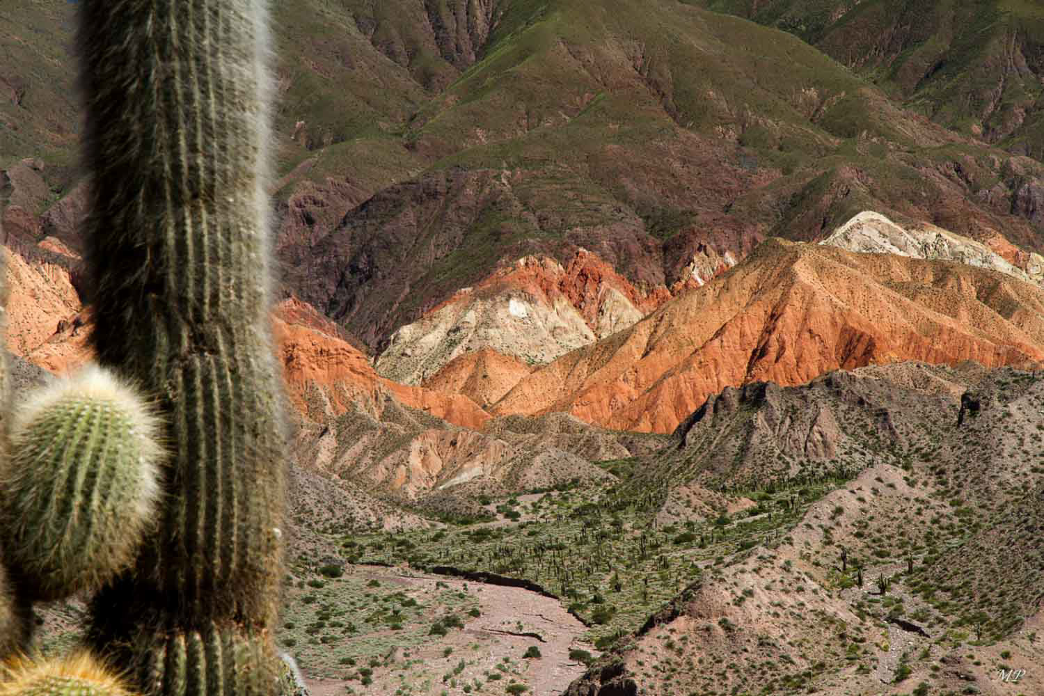 L'Ouest argentin: Tilcara