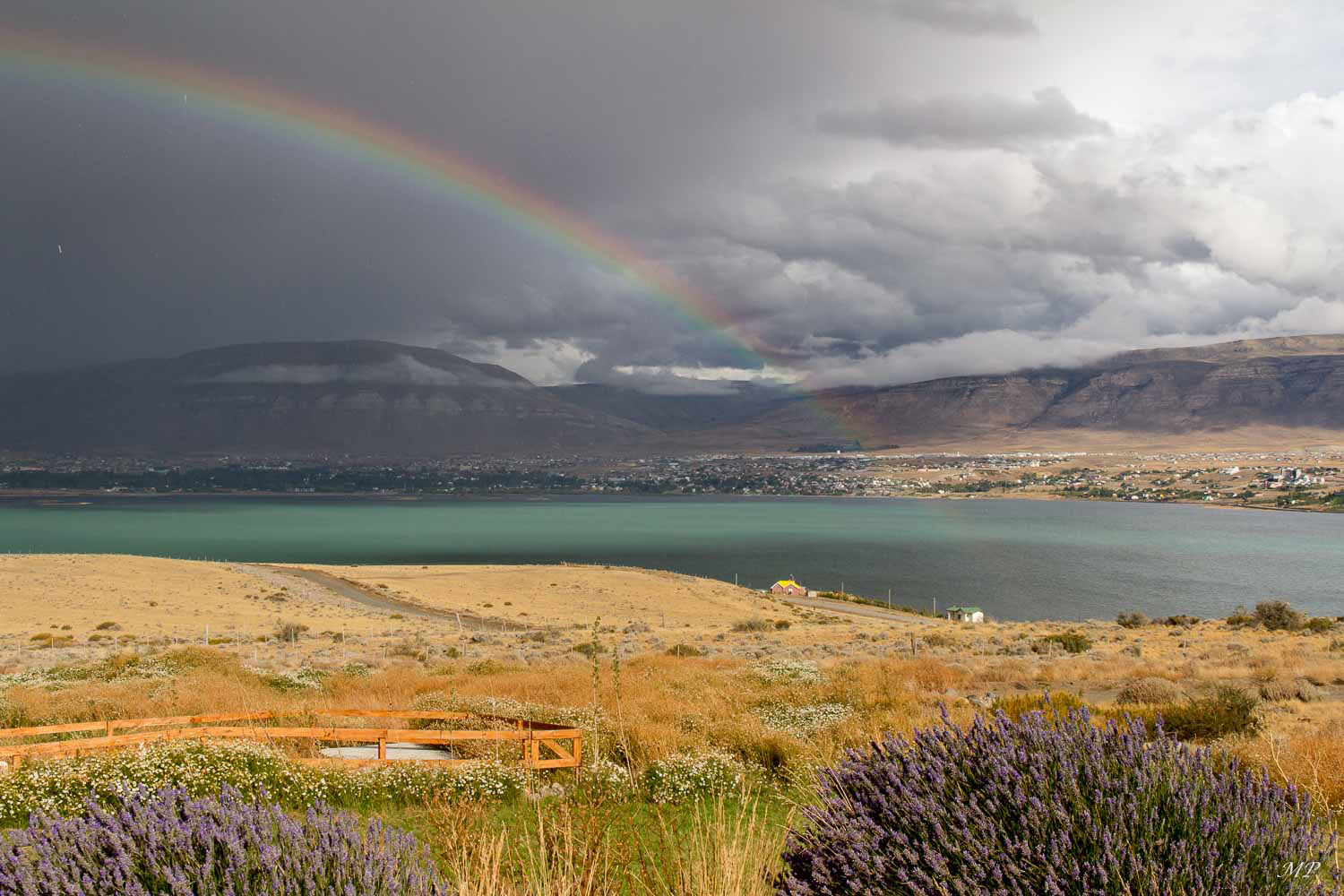 La Patagonie : Le Lago Argentino près d'El Calafate