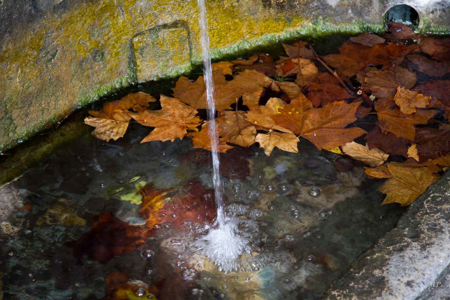 Castagniccia - Rocca Suprana