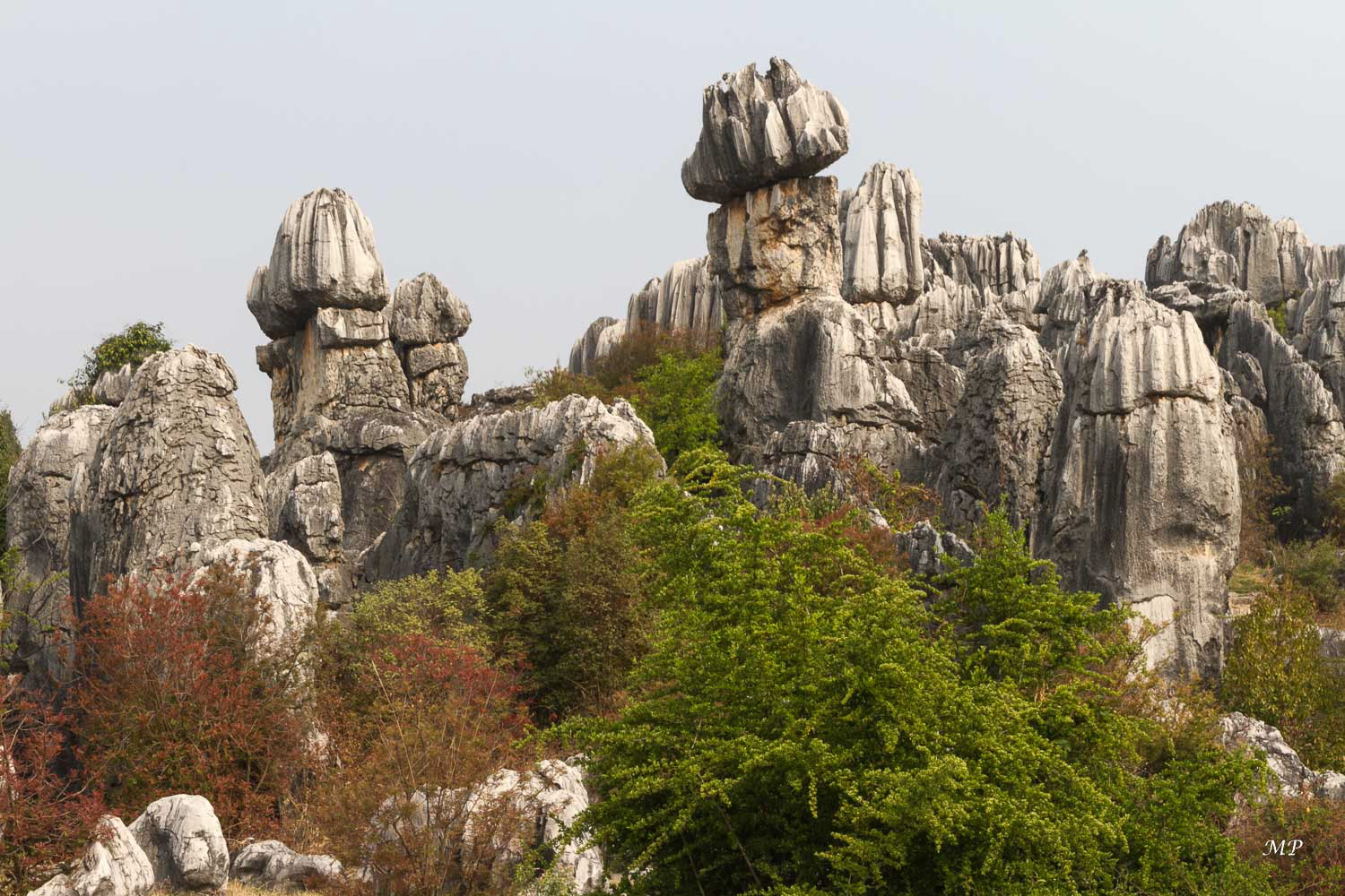 Yunnan - Shilin, la forêt de pierre : Un parcours a été aménagé dans un parc de 80 ha au sein d'un ensemble géologique de 26 000 ha. Ce site est inscrit au patrimoine de l'Unesco depuis 2007.