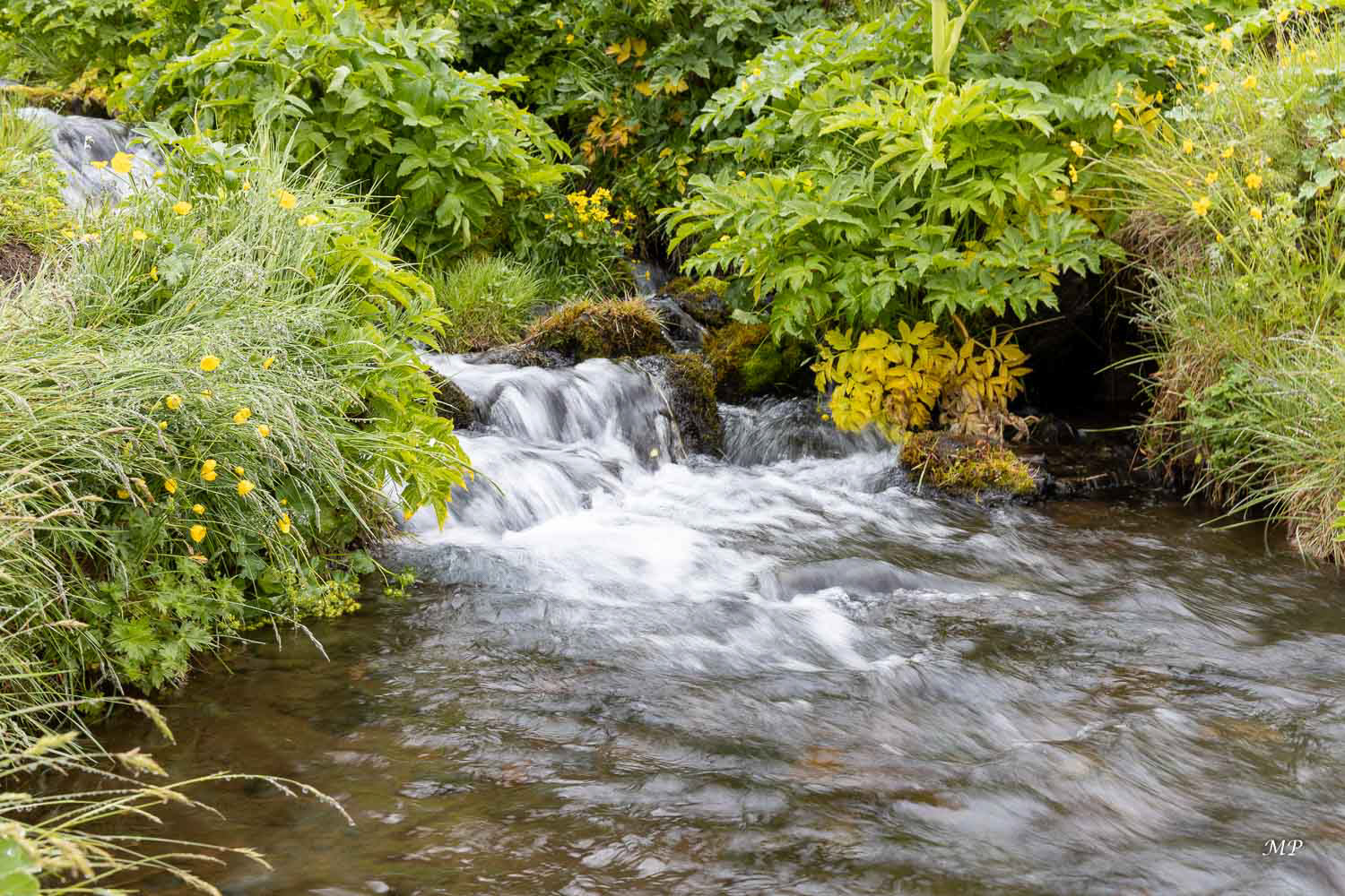 Site de Seljalandsfoss