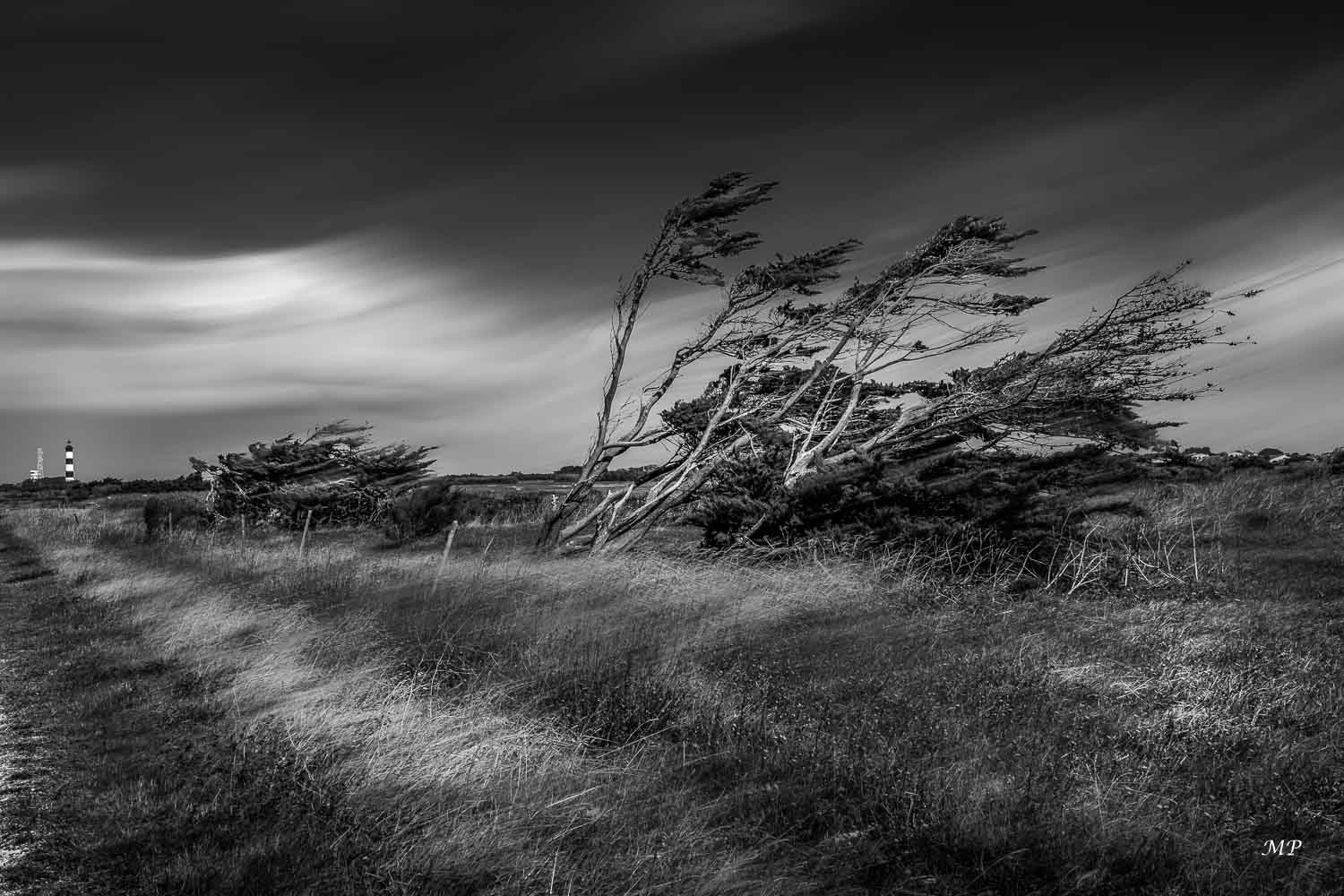 Ile d'Oléron battue par les vents