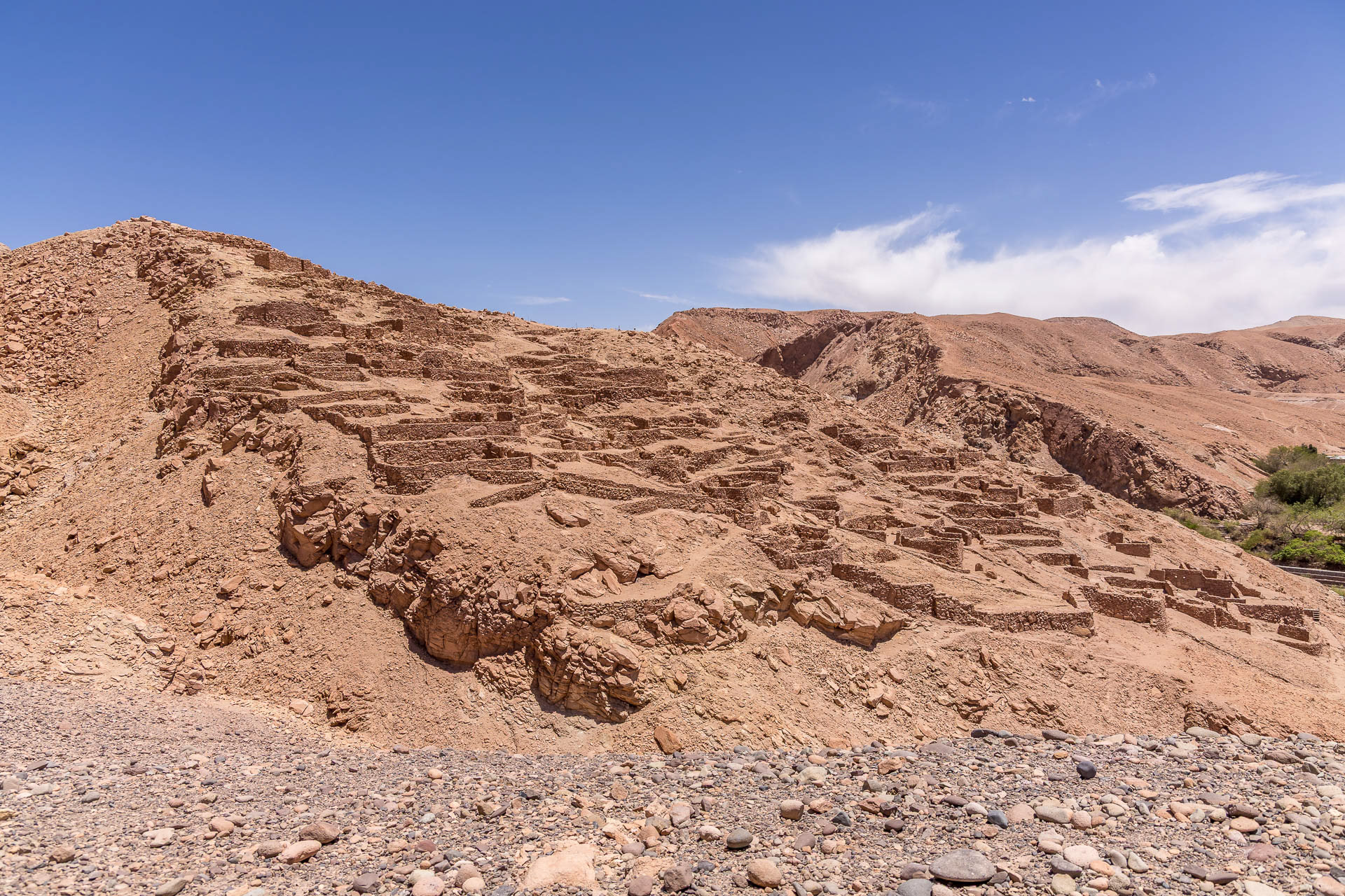 Atacama - la pukará de Quitor, forteresse indienne du XIIe siècle.