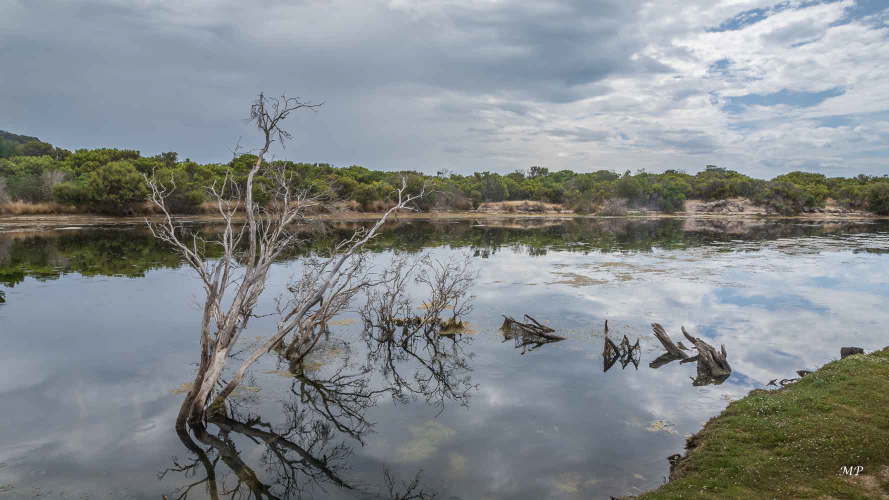Kangaroo Island - Chapman River