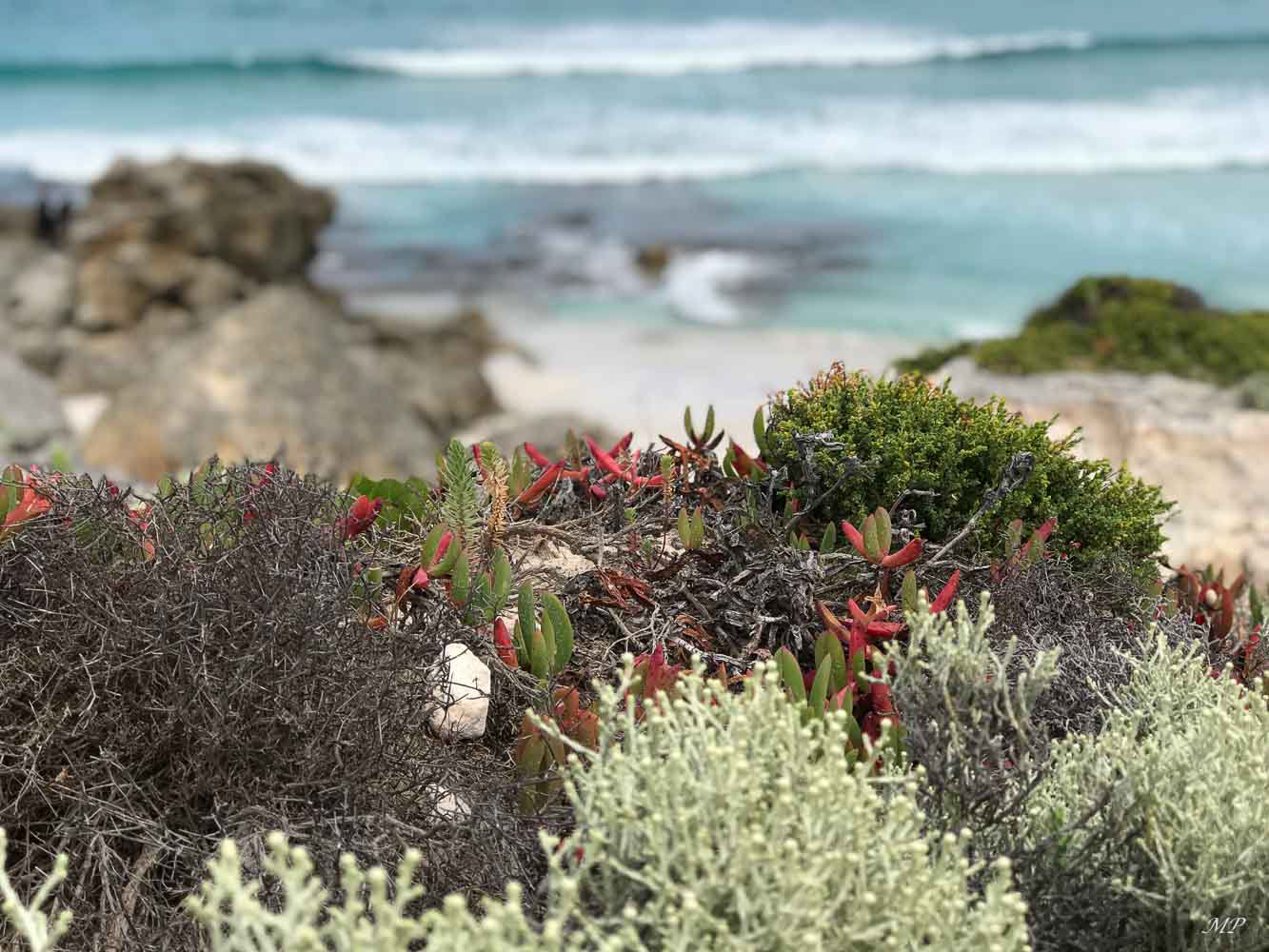 Kangaroo Island - Hanson Bay
