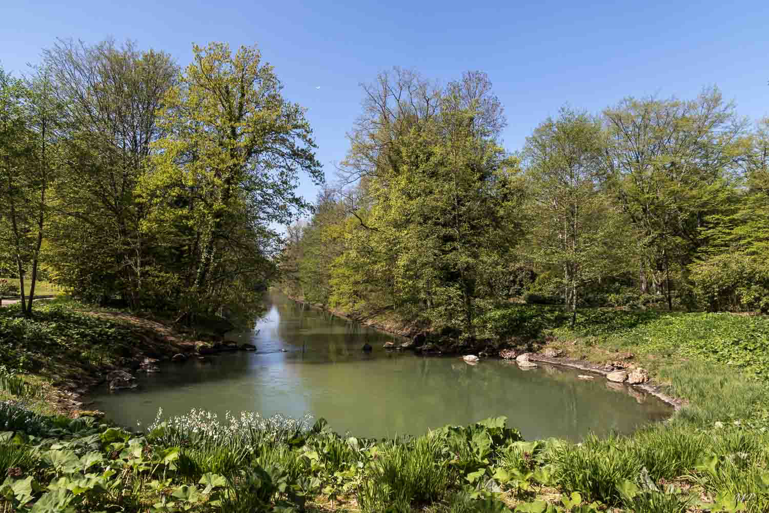 Au cœur du Parc Floral naît le Loiret.  Cette source, appelée le Bouillon, est une résurgence karstique de la Loire.