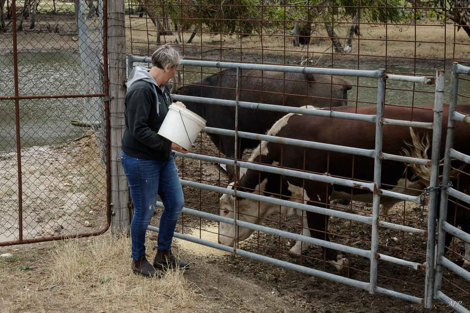 Cockatoo Downs est une ferme de 500ha située près de Keith