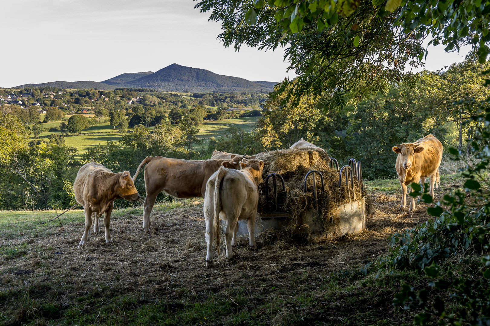 Auvergne - Les Combrailles (Puy-de-Dôme)