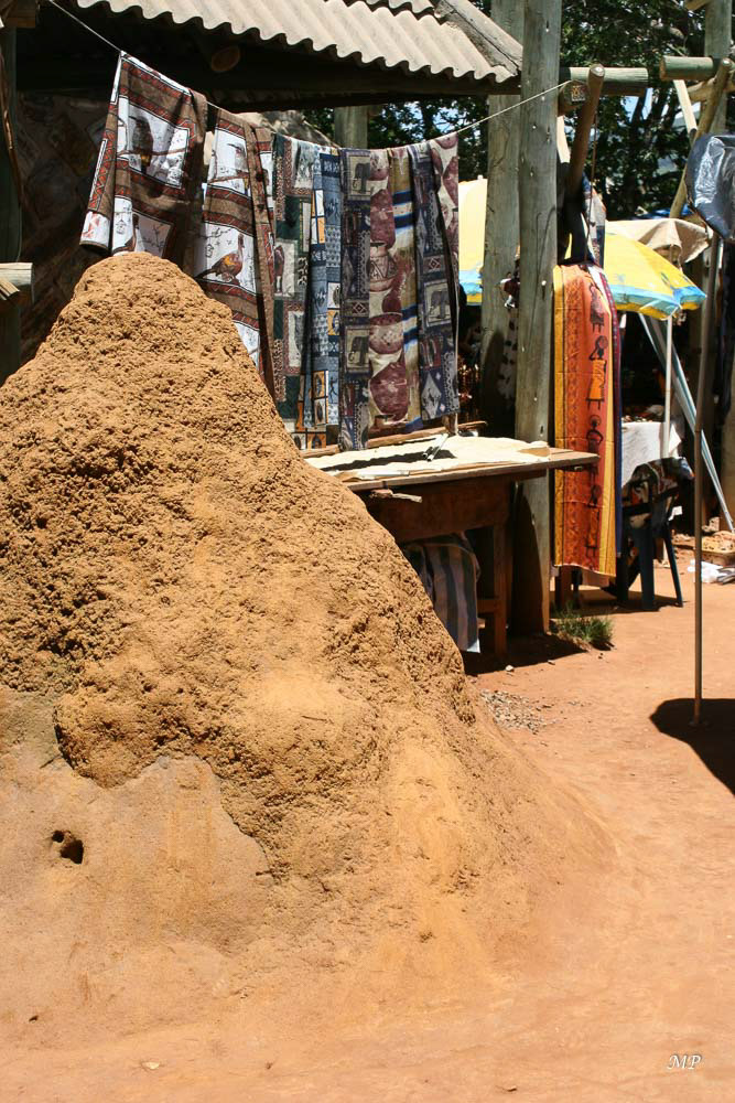 Village près de la rivière avec des termitières jusque dans son centre 