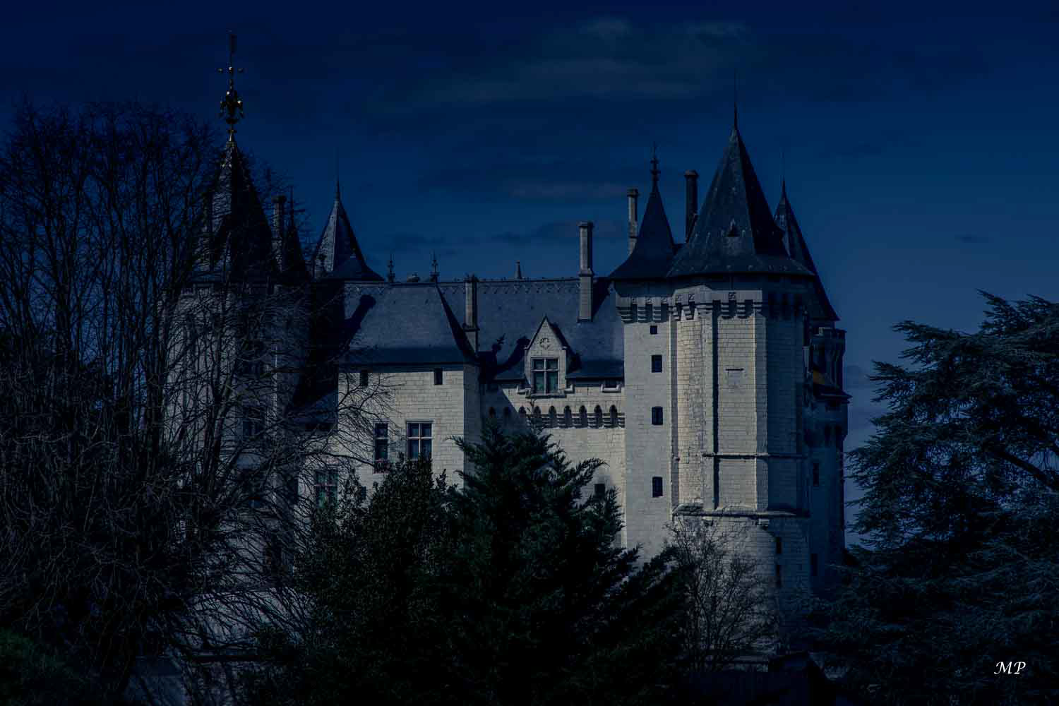 Château de Saumur